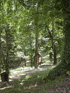 Sentiero all'interno dell'Arboreto "Carlo Siemoni", Badia a Prataglia, Poppi.