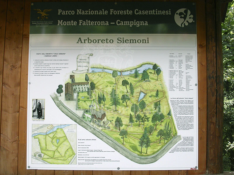Plan of the 'Arboreto Storico "Carlo Siemoni", Badia a Prataglia, Poppi.