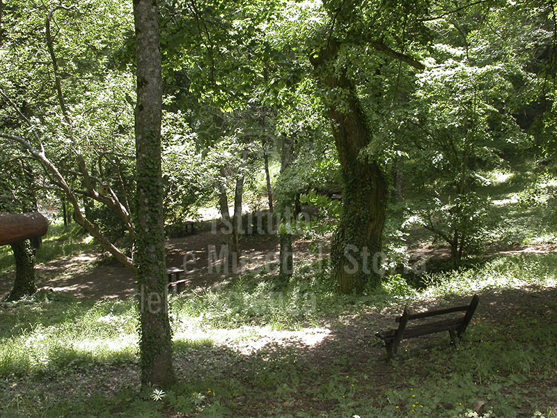 "Carlo Siemoni"  Arboretum, Badia a Prataglia, Poppi.