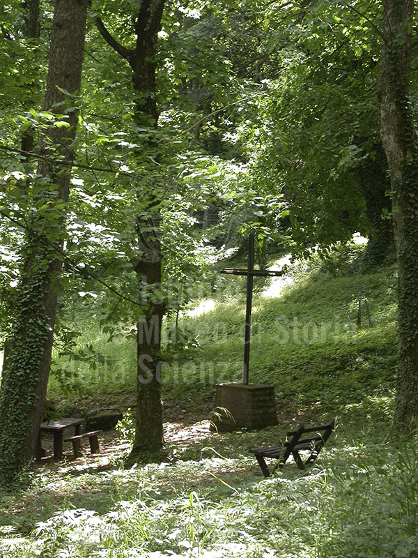 Resting place in the Arboreto "Carlo Siemoni", Badia a Prataglia, Poppi.