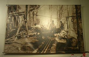 Foto storica all'interno del Museo del Bosco e dalla Montagna, Stia.