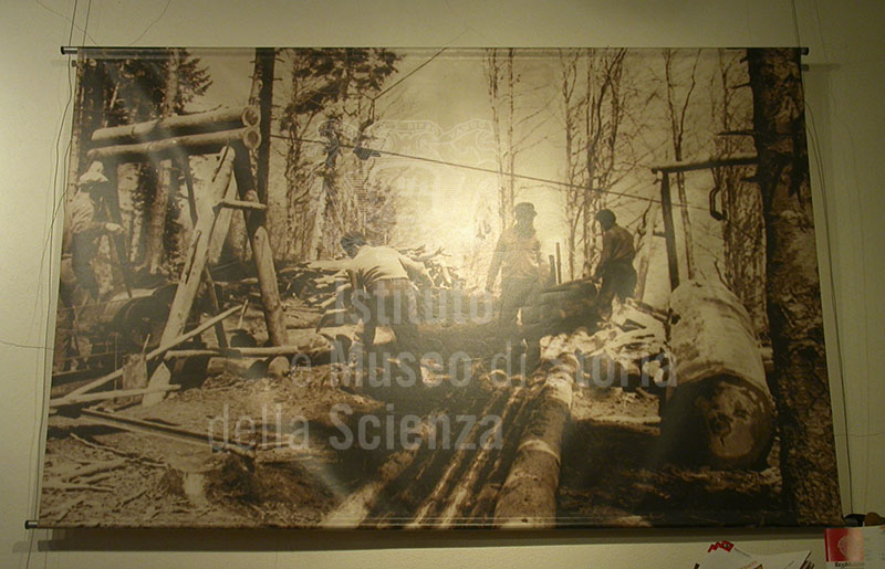 Foto storica all'interno del Museo del Bosco e dalla Montagna, Stia.