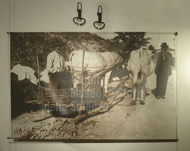 Foto storica raffigurante una vecchia slitta da trasporto, Museo del Bosco e dalla Montagna, Stia.
