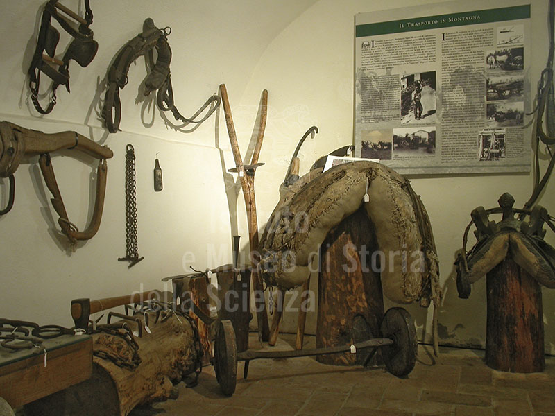 Strumenti da lavoro, Museo del Bosco e dalla Montagna, Stia.