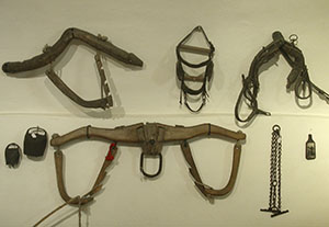 Harness, Museo del Bosco e dalla Montagna, Stia.