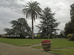 Garden of Villa Montalto, Florence.