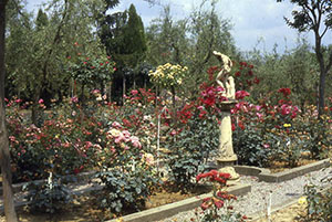 Panoramical view of the Roseto Botanico Carla Fineschi, Cavriglia.