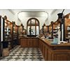 Interior of the Farmacia Bottari, Pisa.