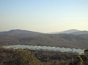 Panoramica dell'impianto serricolo alimentato dalla centrale geotermica di Radicondoli.