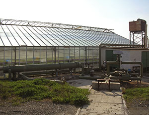 Exterior of the greenhouse system fed by the geothermal station at Radicondoli.