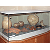 Earthenware pottery (pots, covers, pitcher, neck of Graeco-Italico amphora, border of dolio), Museo Archeologico di Scansano (adjacent to the Museo della Vite e del Vino).
