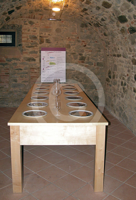 Table laid for a banquet, Museo della Vite e del Vino of Scansano.