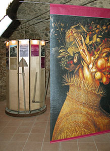 Scorcio di una sala del Museo della Vite e del Vino di Scansano.