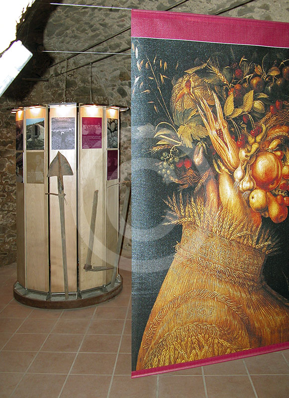 Scorcio di una sala del Museo della Vite e del Vino di Scansano.