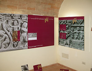 Pannelli didattici con documentazione iconografica relativa alla produzione vinicola nell'antichit, Museo della Vite e del Vino di Scansano.
