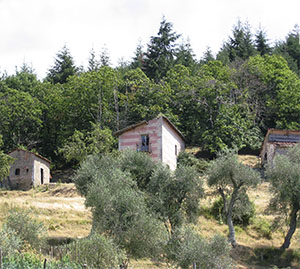 Old structures situated behind the hospital and originally part of it, Pivizzano.