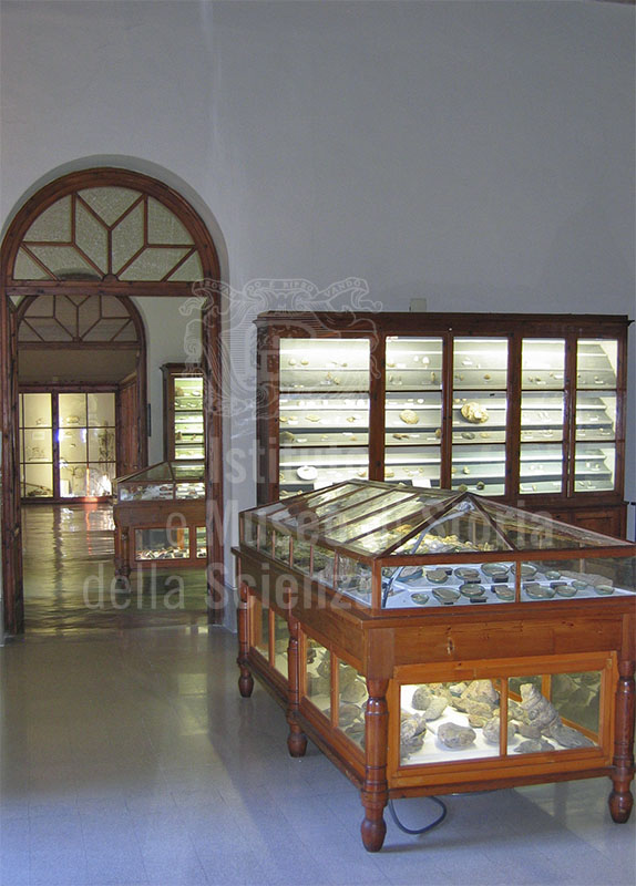 Arrangement of displays for scientific collections, Liceo Classico "N. Machiavelli", Lucca.