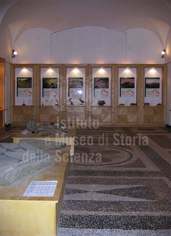 Apparati espositivi del Museo di Storia Naturale della Lunigiana, Aulla.