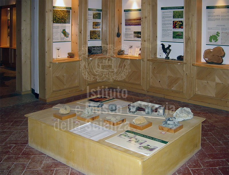 Apparati espositivi del Museo di Storia Naturale della Lunigiana, Aulla.