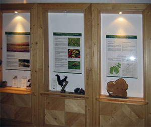 Display cases in the Lunigiana Natural History Museum, Aulla.
