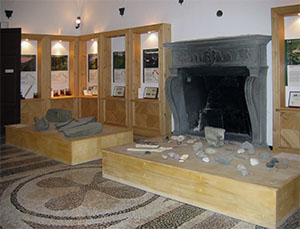 Display cases in the Lunigiana Natural History Museum, Aulla.