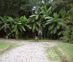Garden of Villa Cenami Mansi, Capannori.