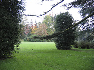 Giardino di Villa Reale di Marlia, Capannori.