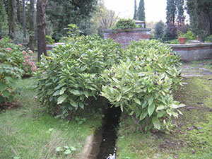 Water channels in the garden of Villa Reale di Marlia, Capannori.