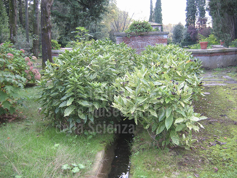 Canalizzazioni idrauliche del giardino di Villa Reale di Marlia, Capannori.