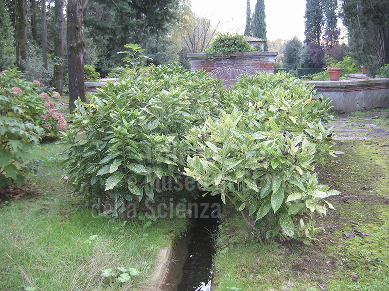 Water channels in the garden of Villa Reale di Marlia, Capannori.