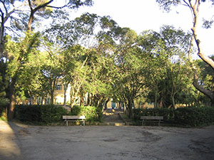 Villa Corridi public park, Livorno.