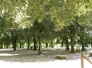Garden of the Istituto Tecnico Agrario Statale "Angelo Vegni", Cortona.
