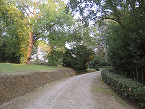 Garden of Villa di Bibbiani, Capraia e Limite.