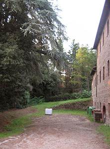 Garden of Villa di Bibbiani, Capraia e Limite.