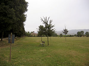 Cascine di Tavola, Prato.