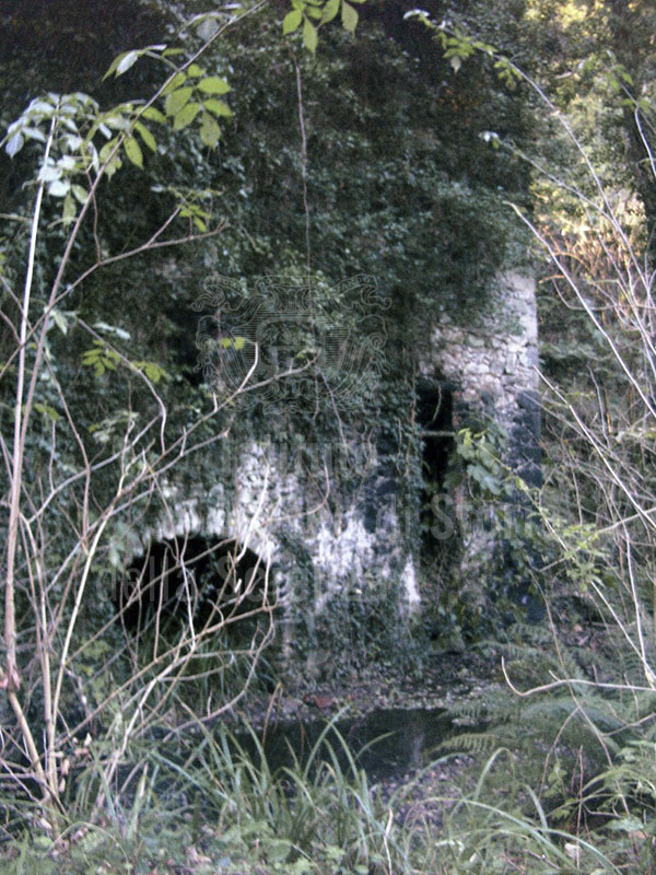 Remains of mills in the Vallebuia, Anchiano, Vinci.