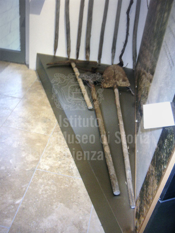 Implements for weeding rows of grapevines, Museum of Grapes and Wine, "I Lecci" Wine Culture Centre, Montespertoli.