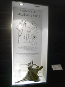 Diseases of the grapevine: Oidium, with bellows to treat the disease of oidium and sulphur powder, Museum of Grapes and Wine, "I Lecci" Wine Culture Centre, Montespertoli.