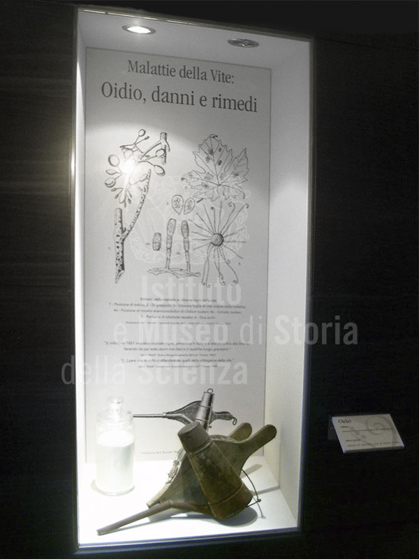 Malattie della vite: Oidio, con soffietto per curare la malattia, Museo della Vite e del Vino del Centro per la Cultura del Vino "I Lecci", Montespertoli.