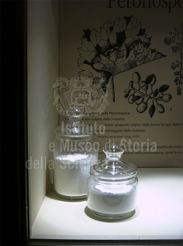 Ingredienti per il ramato (calce e solfato di rame), Museo della Vite e del Vino del Centro per la Cultura del Vino "I Lecci", Montespertoli.