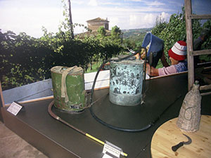The growing cycle of the grapevine: tub, Museum of Grapes and Wine, "I Lecci" Wine Culture Centre, Montespertoli.