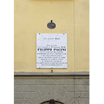 Lapide sulla casa natale di Filippo Pacini, Pistoia.