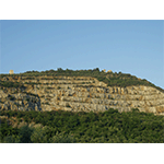 Quarries on the hill of Monsummano Terme.