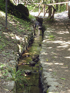 Millrace of the "Madonnina" Ice House, Le Piastre, Pistoia.