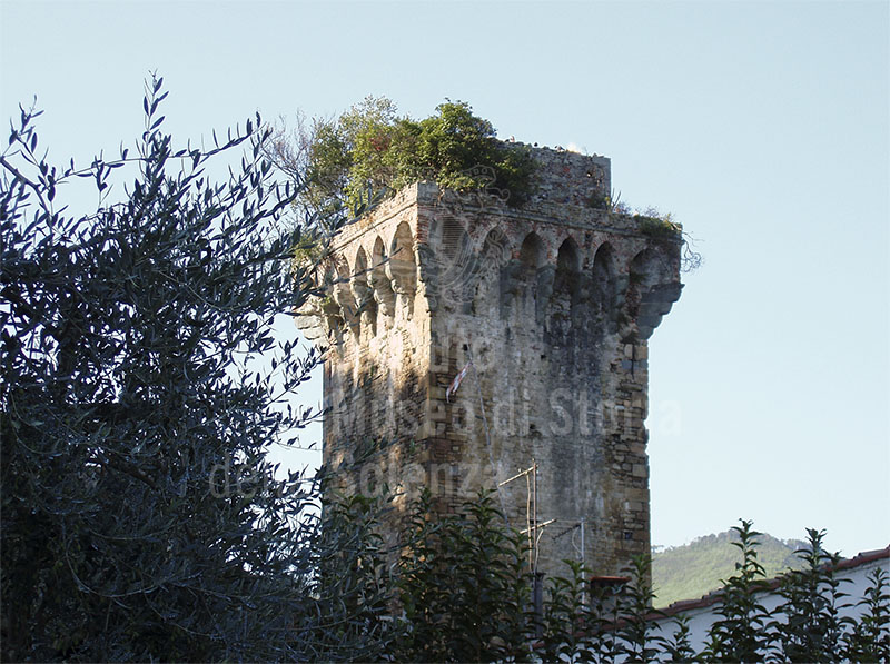 Tower forming part of the ancient defence system of Vicopisano.