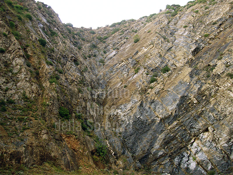 Ex northeast quarry, San Giuliano Terme.