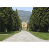 Viale di accesso a Villa Santini Torrigiani, Camigliano, Capannori.
