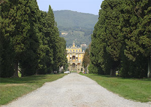 Viale di accesso a Villa Santini Torrigiani, Camigliano, Capannori.