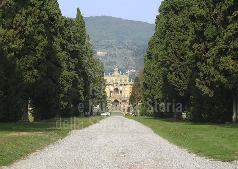 Approach road to Villa Santini Torrigiani, Camigliano, Capannori.
