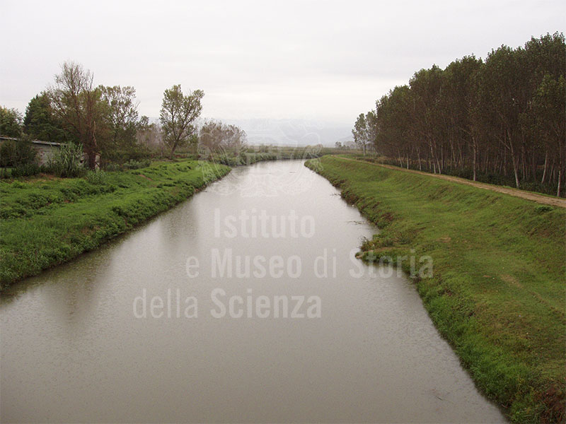 Fucecchio Marshes Nature Reserve, Canale Maestro, loc. Cavallaia, Fucecchio.